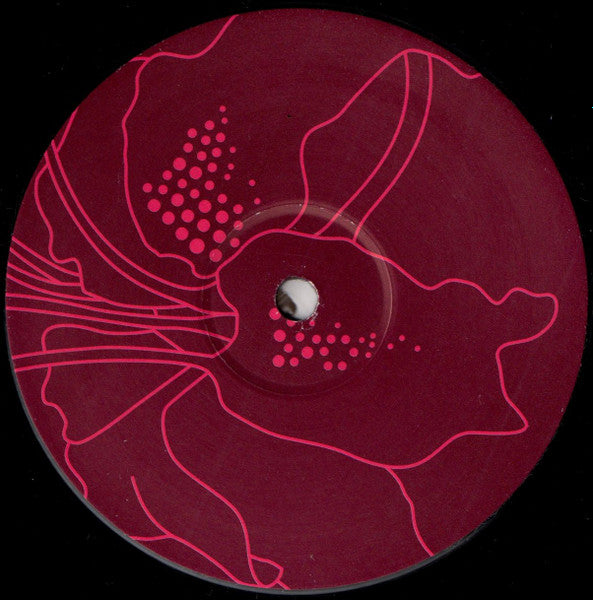 The Funky Lowlives - Sail Into The Sun (VINYL) | Excellent (EX) Excellent (EX)