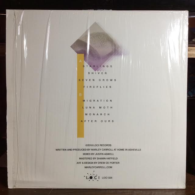 Flight Patterns (VINYL) | Near Mint- (NM-) Near Mint (NM)