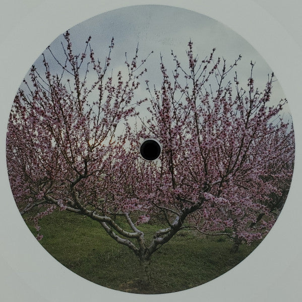 Washed Out - Within And Without (WHITE VINYL) | Near Mint (NM or M-)