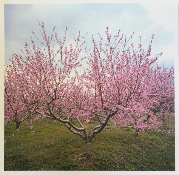 Washed Out - Within And Without (WHITE VINYL) | Near Mint (NM or M-)
