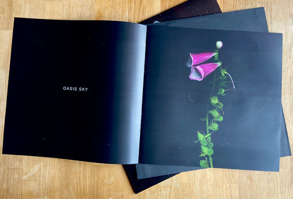 Oasis Sky (VINYL) | Mint (M) Mint (M)
