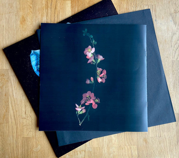 Oasis Sky (VINYL) | Mint (M) Mint (M)
