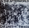 In The Afterworld | Mint (M) Mint (M)