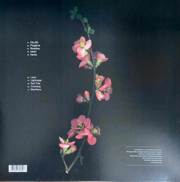 Oasis Sky (VINYL) | Mint (M) Mint (M)