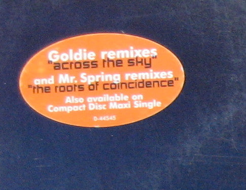 Pat Metheny Group - Across The Sky / The Roots Of Coincidence (GOLDIE) | Excellent+ (EX+) Excellent (EX)