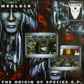 The Origin Of Species E.P. | Very Good (VG) Very Good Plus (VG+)