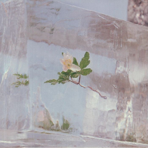 Windflowers | Mint (M) Mint (M)
