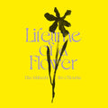 Lifetime of a Flower |