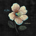 Balance (Reissue) (Azure & Black Swirl Vinyl) |