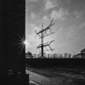 Signal |