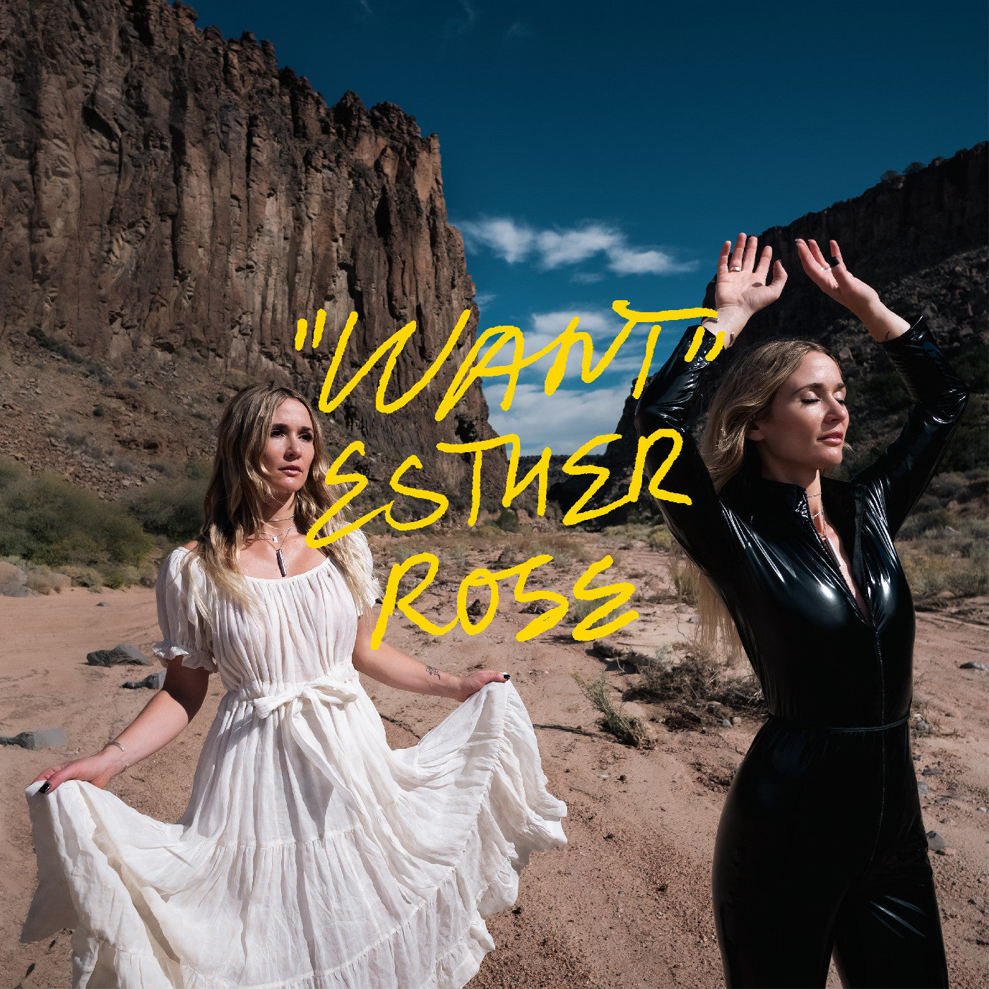 Want (VINYL) | Mint (M)