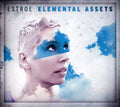 Elemental Assets |