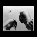 Metal Bird |
