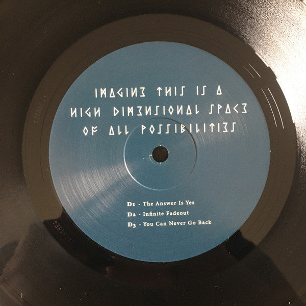 Imagine This Is A High Dimensional Space Of All Possibilities (2xVINYL) | Mint (M) Mint (M)