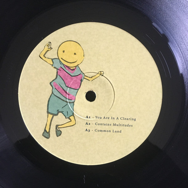 Imagine This Is A High Dimensional Space Of All Possibilities (2xVINYL) | Mint (M) Mint (M)
