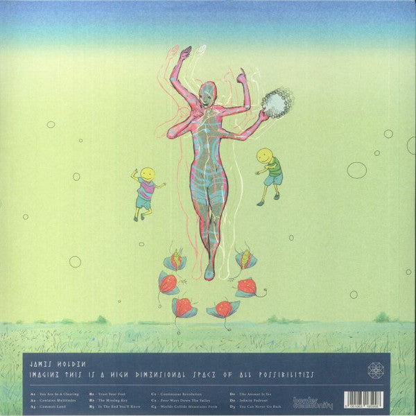 Imagine This Is A High Dimensional Space Of All Possibilities (2xVINYL) | Mint (M) Mint (M)