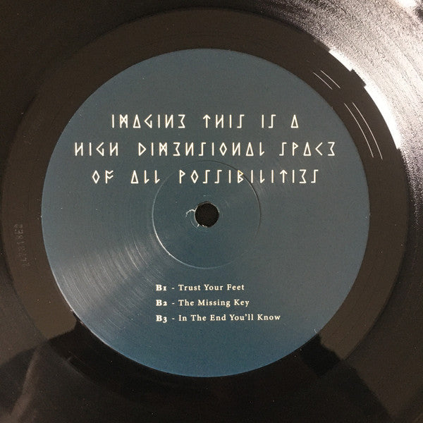 Imagine This Is A High Dimensional Space Of All Possibilities (2xVINYL) | Mint (M) Mint (M)