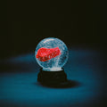 Nothing (INDIE EXCLUSIVE, RED VINYL)(PRE-ORDER 2/28/25) | Mint (M) Mint (M)