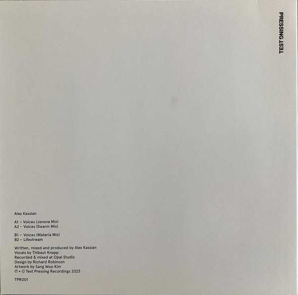 Voices (VINYL) | Mint (M) Mint (M)