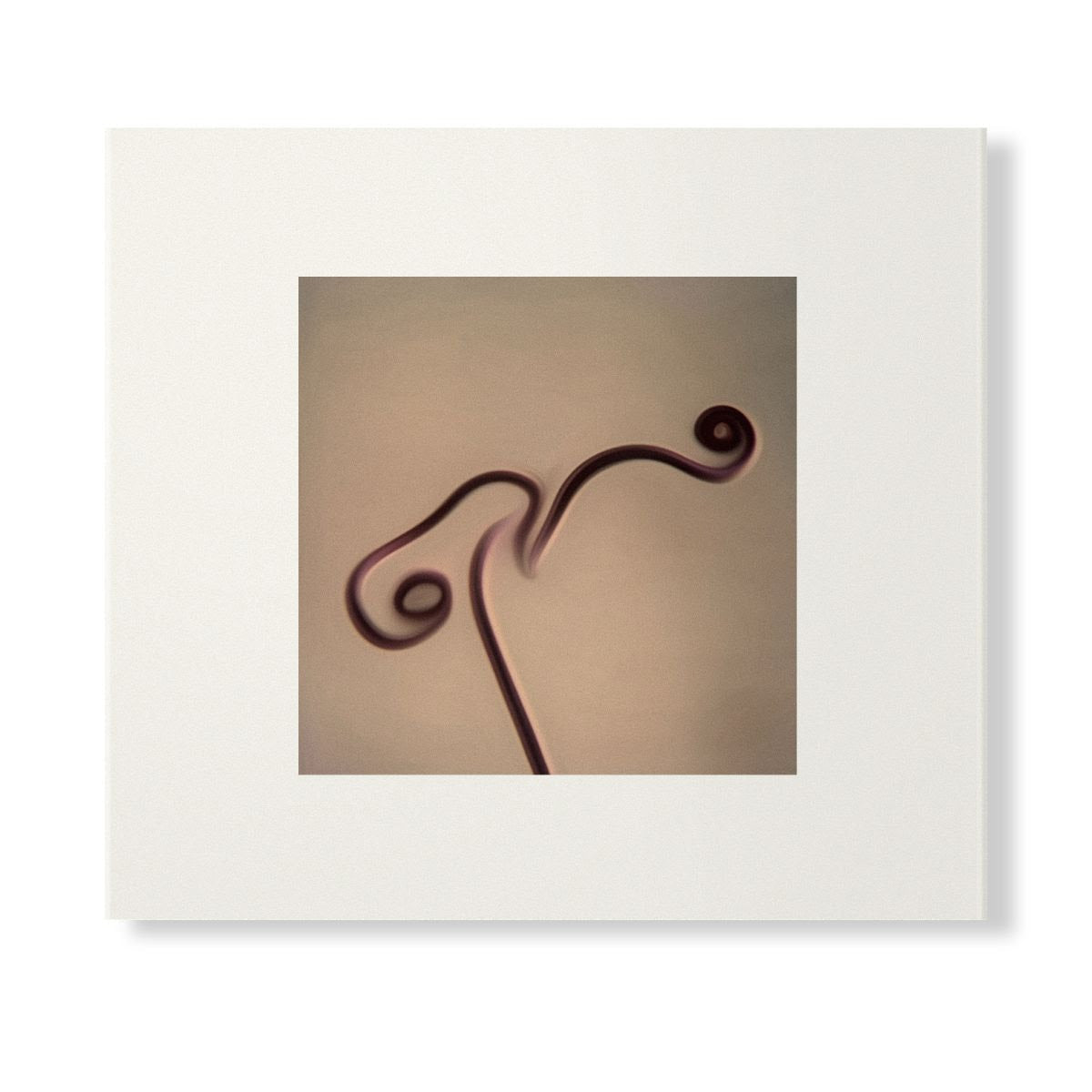 Image 1983-1998 (Skintone Edition)(CD) | Mint (M) Mint (M)