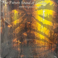 The Future Sound Of London - Papua New Guinea Translations (2xVINYL) | Mint (M) Mint (M)