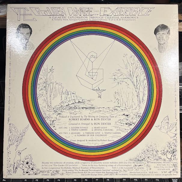 Bearns & Dexter - The Golden Voyage Vol. One (VINYL) | Near Mint (NM) Near Mint (NM)