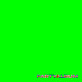Party Album |