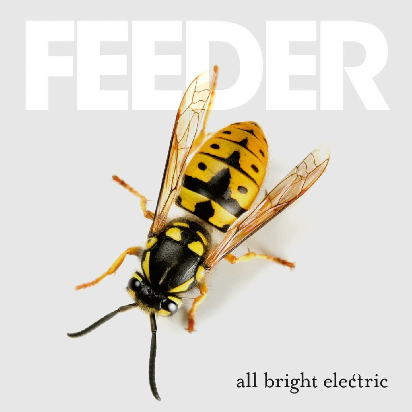 All Bright Electric (Deluxe Edition 2xVINYL) | Mint (M) Mint (M)
