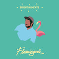 Flamingosis - Bright Moments (VINYL) | Mint (M) Mint (M)