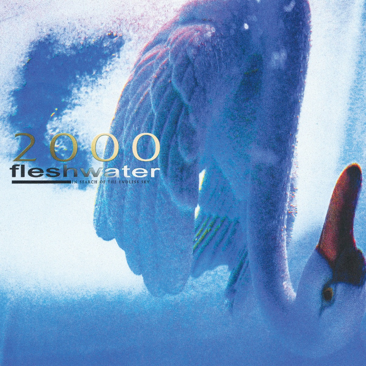 Fleshwater - 2000: In Search Of The Endless Sky (Metallic Blue Vinyl) |