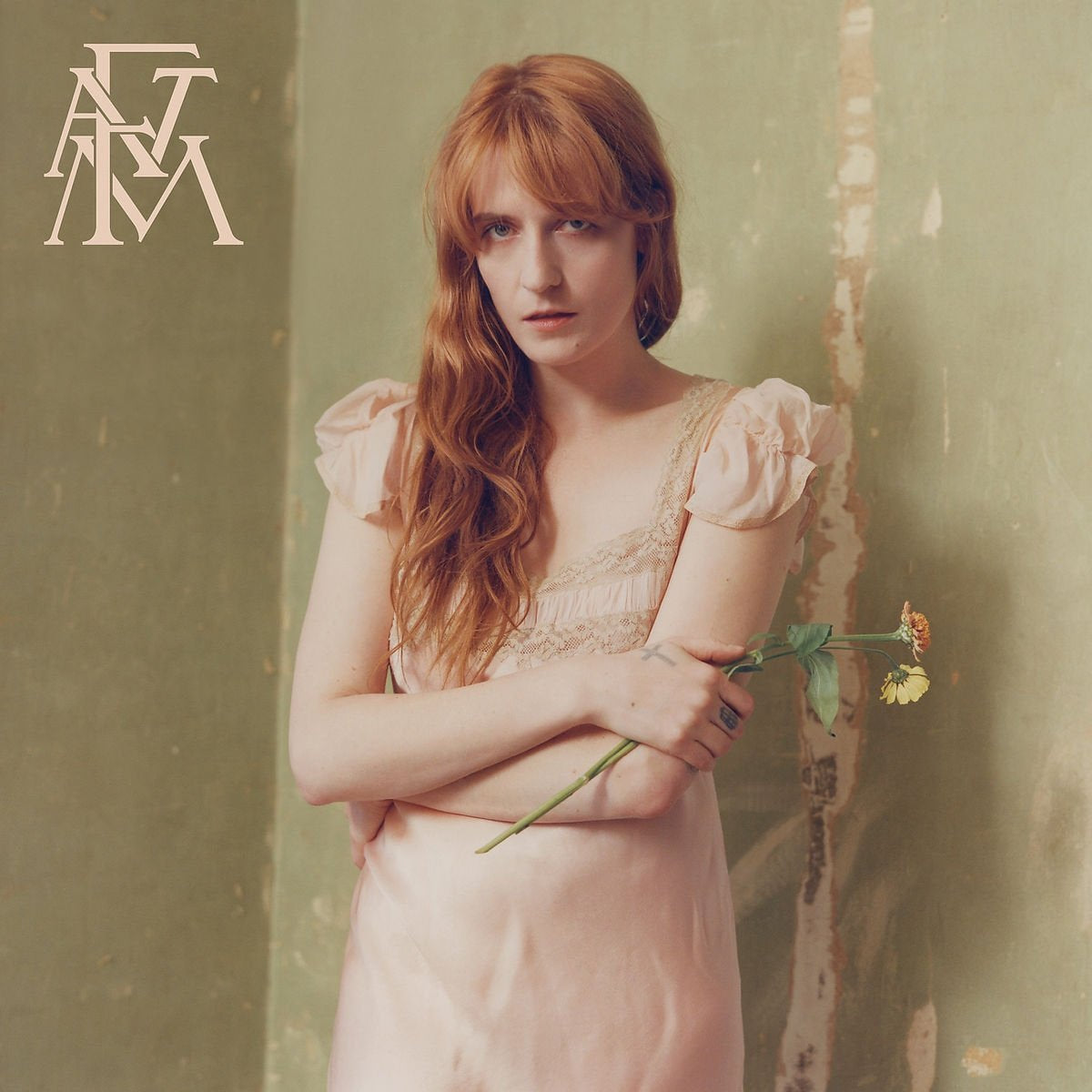 Florence + The Machine - High As Hope (180 Gram Vinyl) [Explicit Content] | Mint (M) Mint (M)