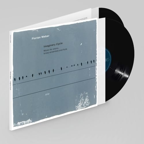 Imaginary Cycle [2 LP] |
