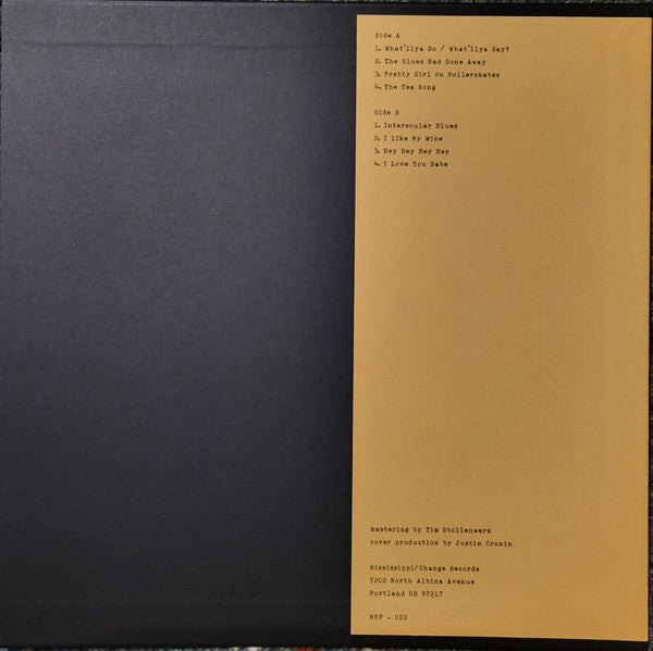 Michael Hurley - Back Home With Drifting Woods (VINYL) | Mint (M) Mint (M)