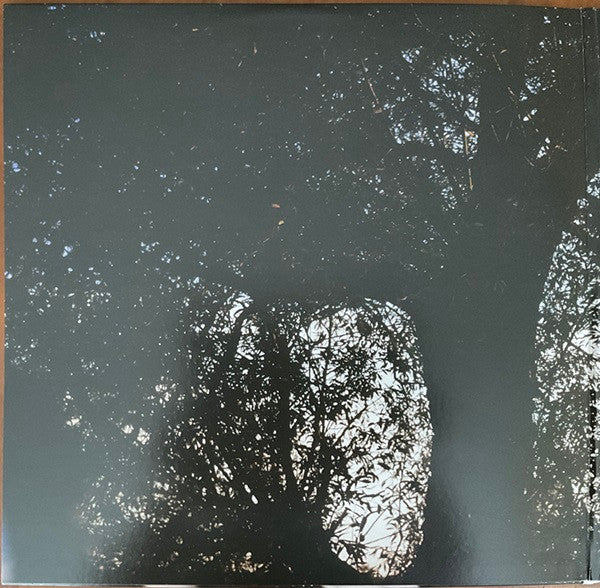Revelation (VINYL) | Mint (M) Mint (M)
