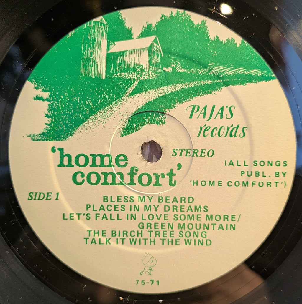 Home Comfort (2) - Old Strings - Old Songs (VINYL) | Excellent (EX) Near Mint (NM)