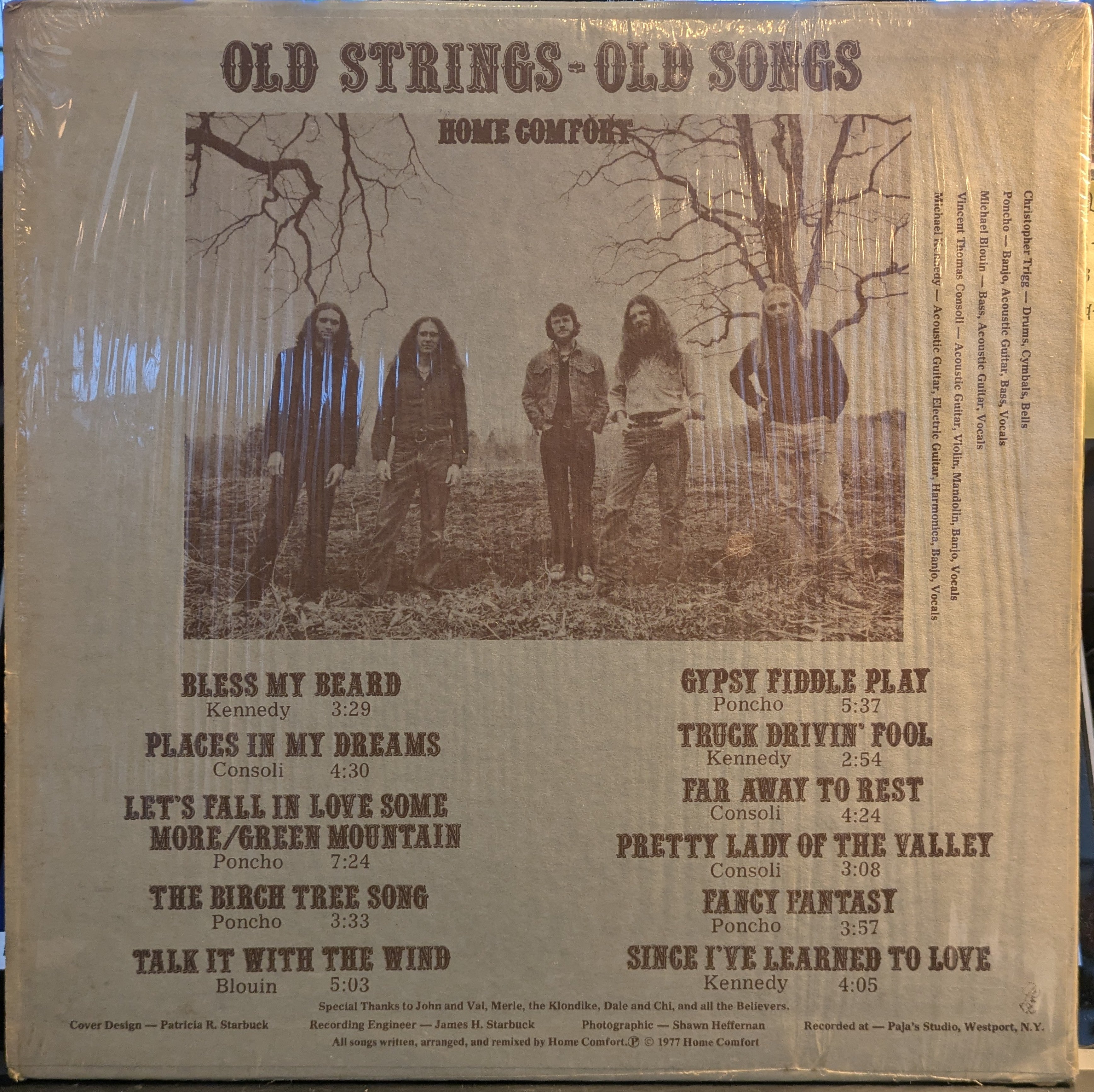 Home Comfort (2) - Old Strings - Old Songs (VINYL) | Excellent (EX) Near Mint (NM)