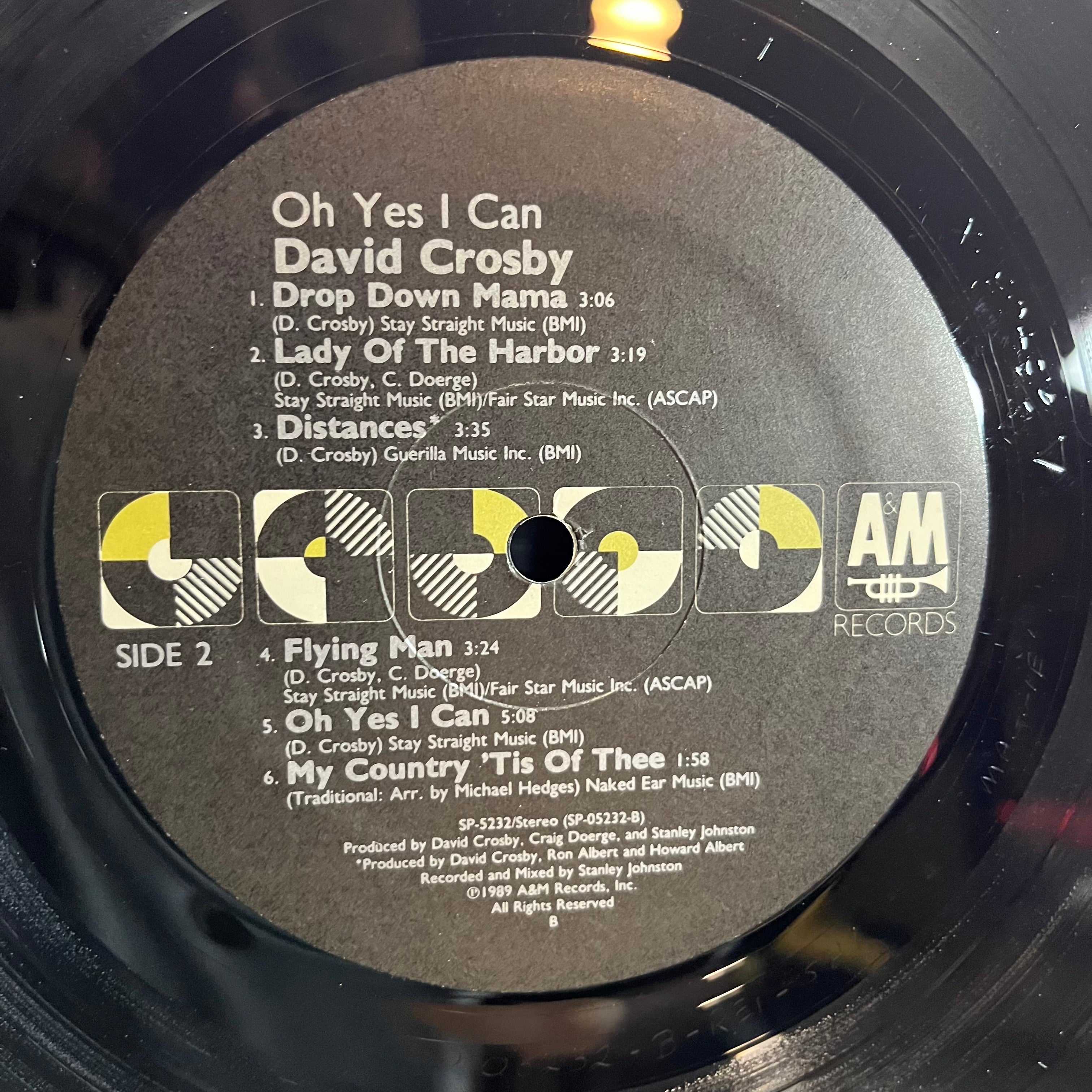 David Crosby - Oh Yes I Can (VINYL) | Near Mint (NM) Near Mint (NM)