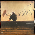 Radical Face - Ghost (VINYL) | Near Mint (NM) Near Mint (NM)