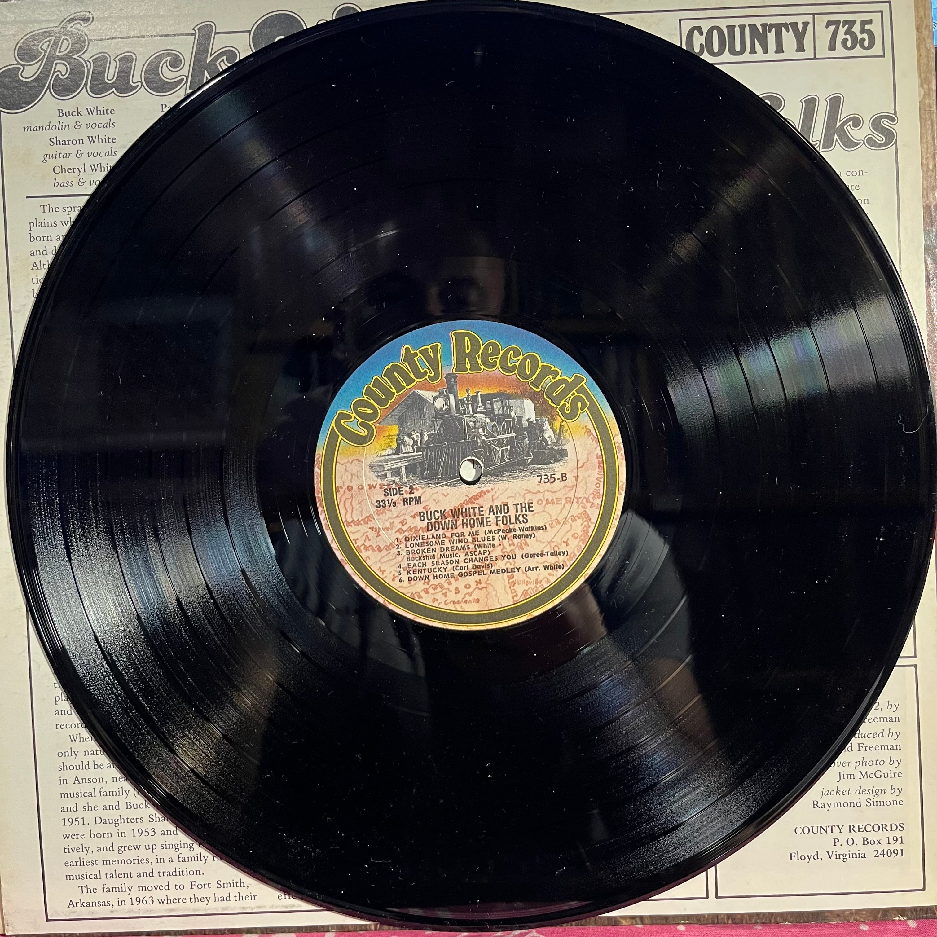 Buck White & The Down Home Folks - Buck White & The Down Home Folks | Near Mint (NM) Excellent (EX)