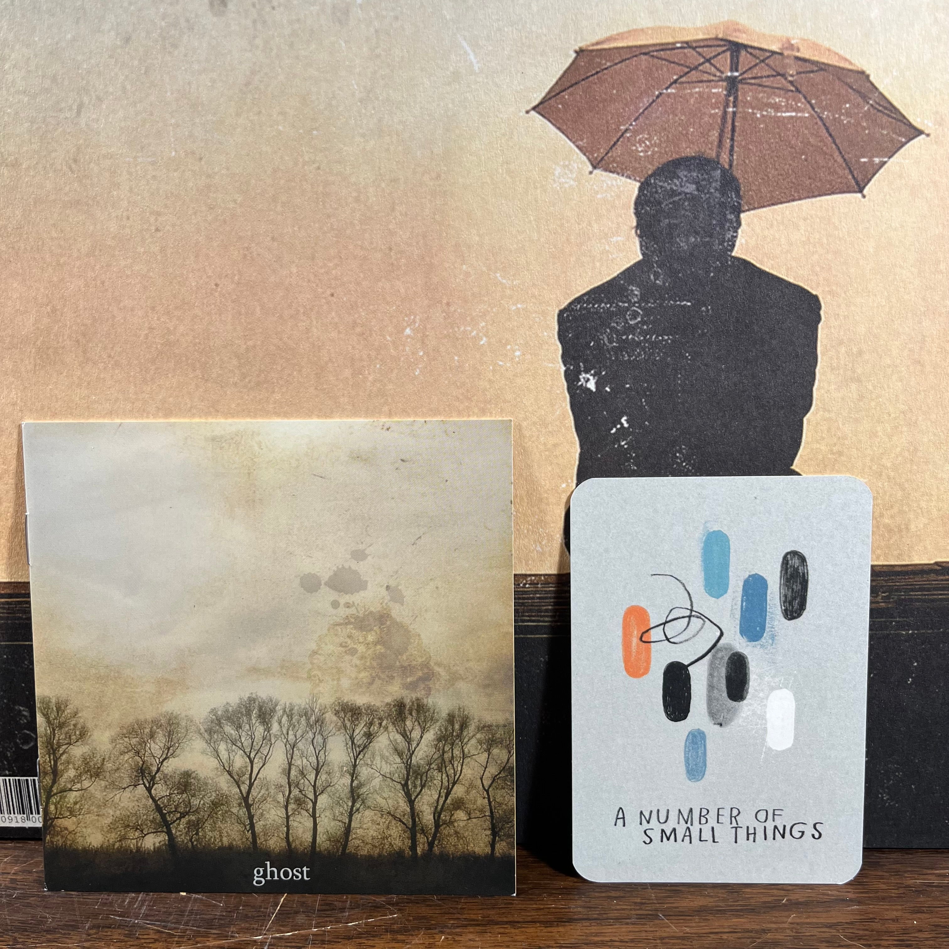 Radical Face - Ghost (VINYL) | Near Mint (NM) Near Mint (NM)