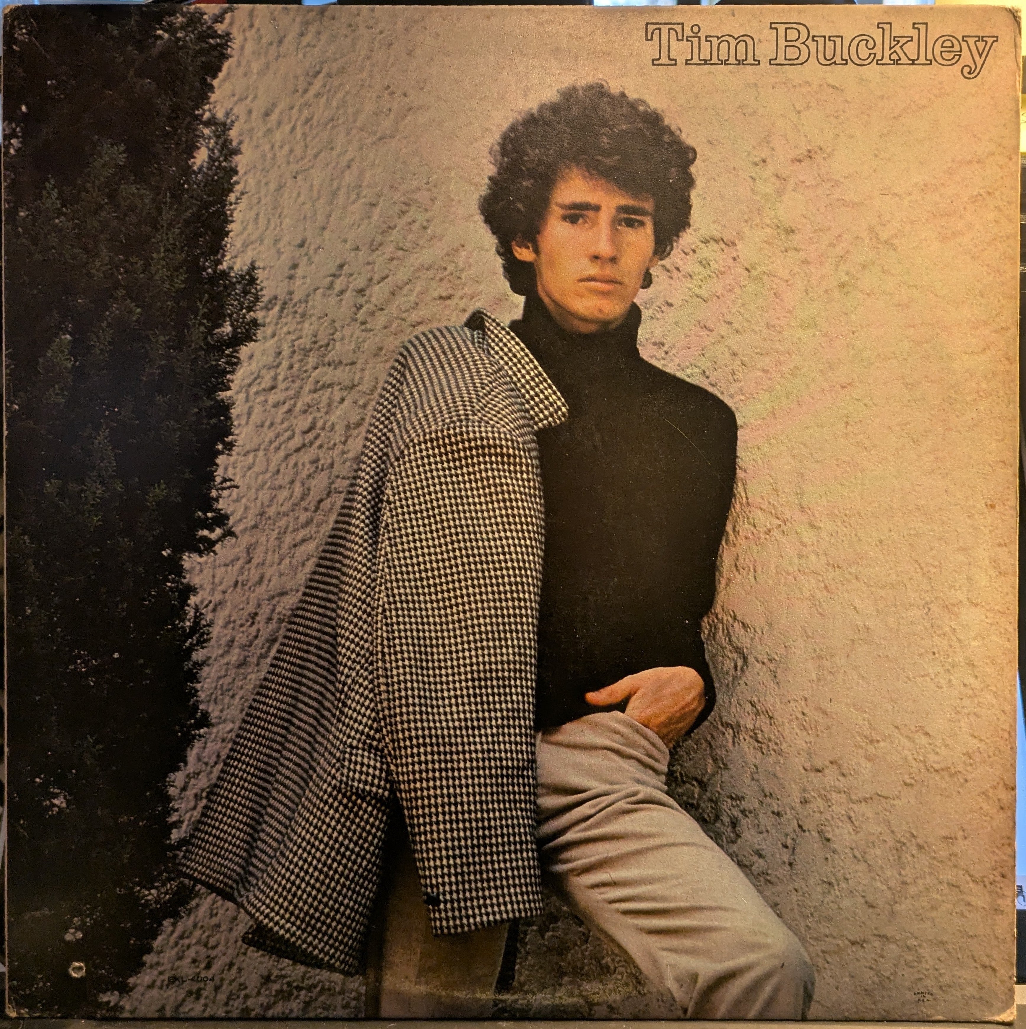 Tim Buckley - Tim Buckley (VINYL) | Very Good Plus (VG+) Excellent (EX)