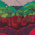 Wildcat |