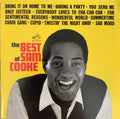 Sam Cooke - The Best Of Sam Cooke (CD) | Near Mint (NM) Near Mint (NM)