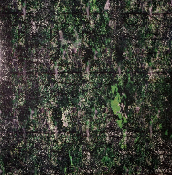 Rausch | Mint (M) Mint (M)