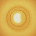 Monstersol |