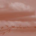 Double Bind |