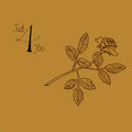Just 4 You |