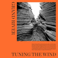 Tuning The Wind (LP) | Mint (M) Mint (M)