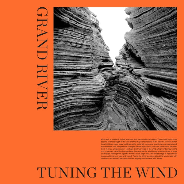 Tuning The Wind (LP) | Mint (M) Mint (M)