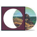Grateful Dead - Wake of the Flood (Picture Disc) | Mint (M) Mint (M)